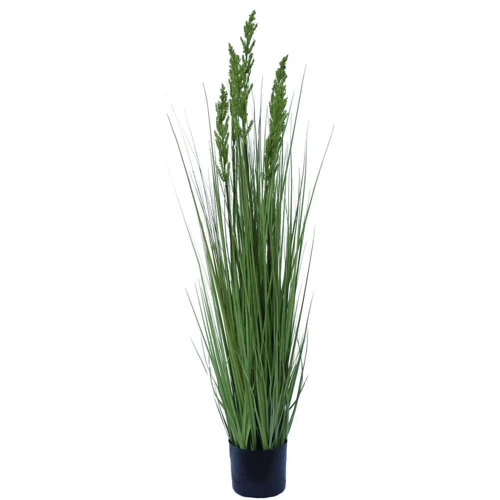 Eco-Chic Flowering Native Grass 120cms