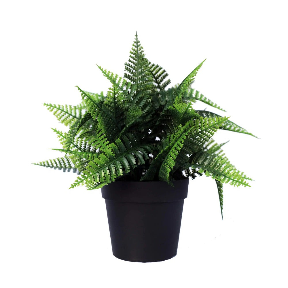Eco-Friendly Artificial Persa Boston Fern Plant 20cms
