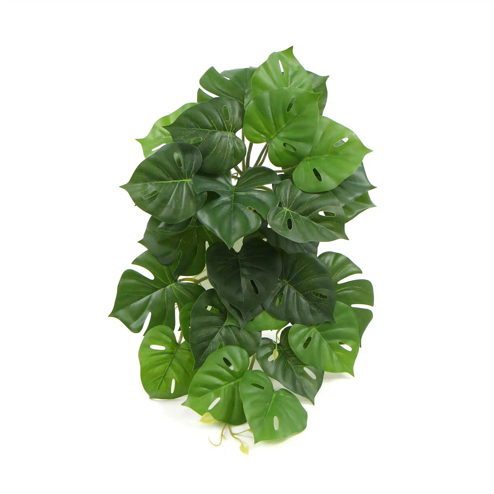 Effortless Artificial Monstera Adansonii Plant 50cms
