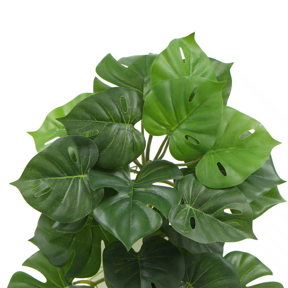 Effortless Artificial Monstera Adansonii Plant 50cms