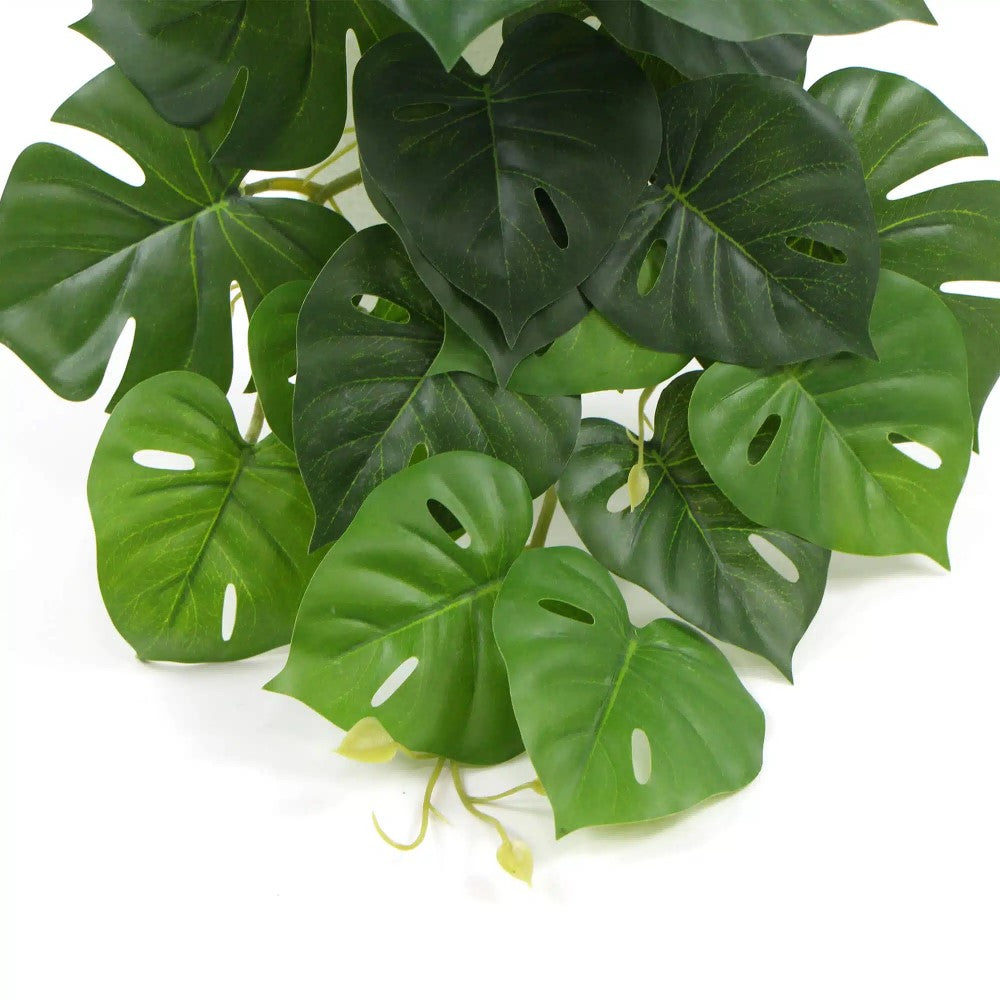 Effortless Artificial Monstera Adansonii Plant 50cms