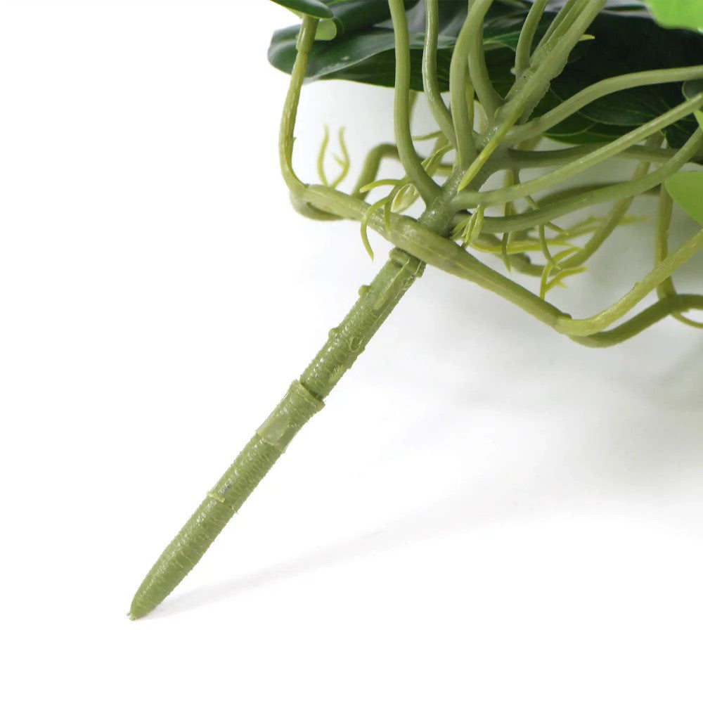 Effortless Artificial Monstera Adansonii Plant 50cms