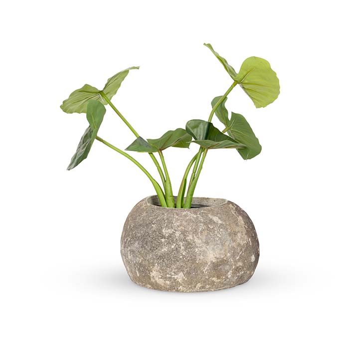 Elegant Natural Stone Deep Bowl Planter - Large