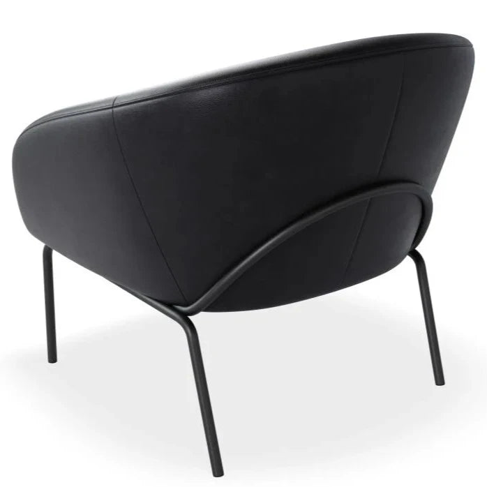 Elegant Single Seater Sofa with Matt Black Legs (Available in 4 Colors)