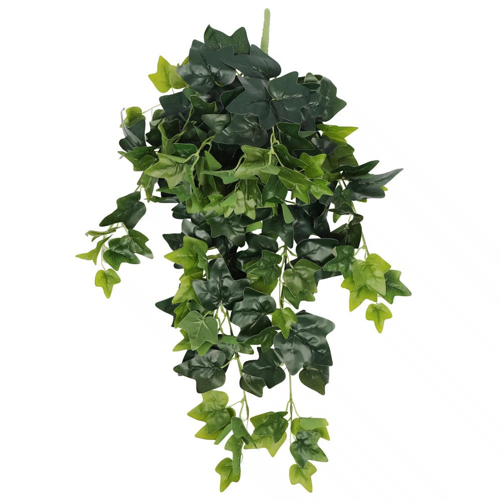 Enchanting Hanging Green Ivy Bush 80cms