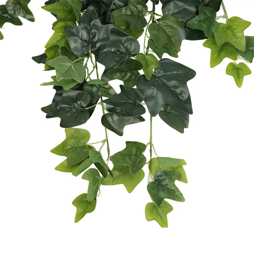 Enchanting Hanging Green Ivy Bush 80cms