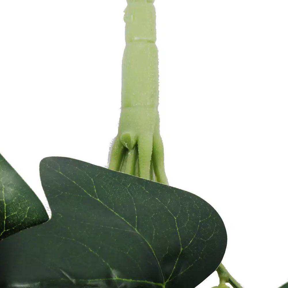 Enchanting Hanging Green Ivy Bush 80cms