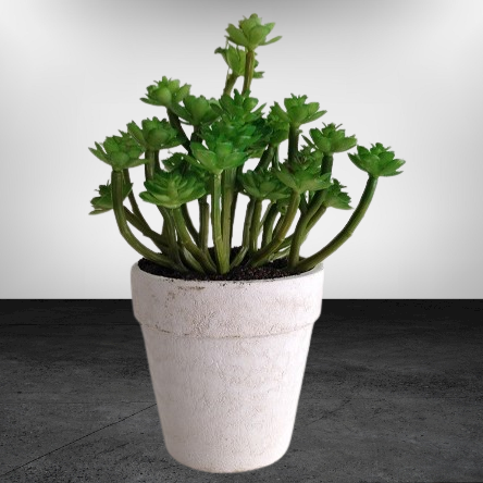 Endless Artificial Succulent Plant in Pot