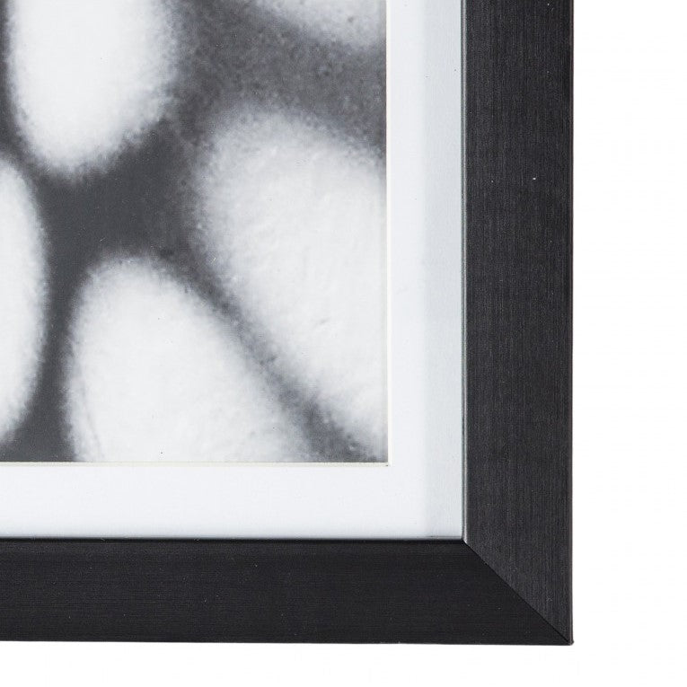 Enigmatic Echoes In Black Framed Art