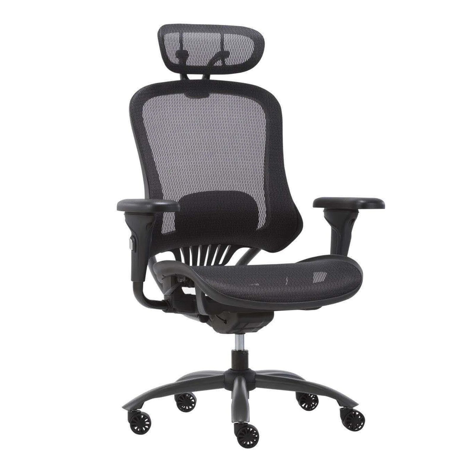 Ergonomic Executive Chair with Versatile 2D Armrests