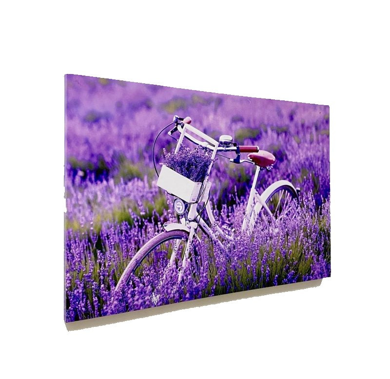 Eternal Embrace Canvas Painting - LED Bicycle