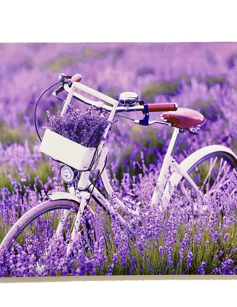 Eternal Embrace Canvas Painting - LED Bicycle