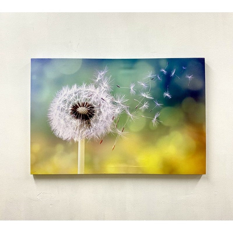 Eternal Embrace Canvas Painting - LED Dandelion