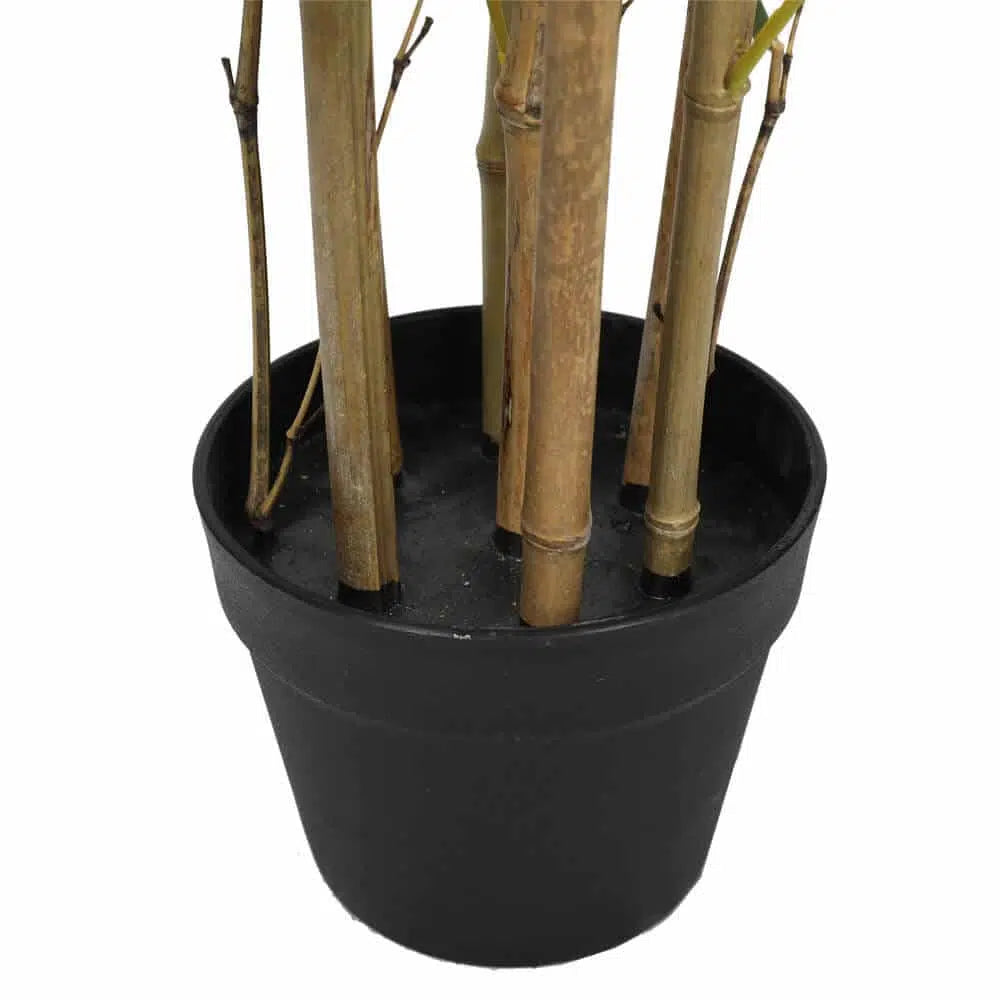 Eternal Japanese Natural Bamboo Trunk 90cms