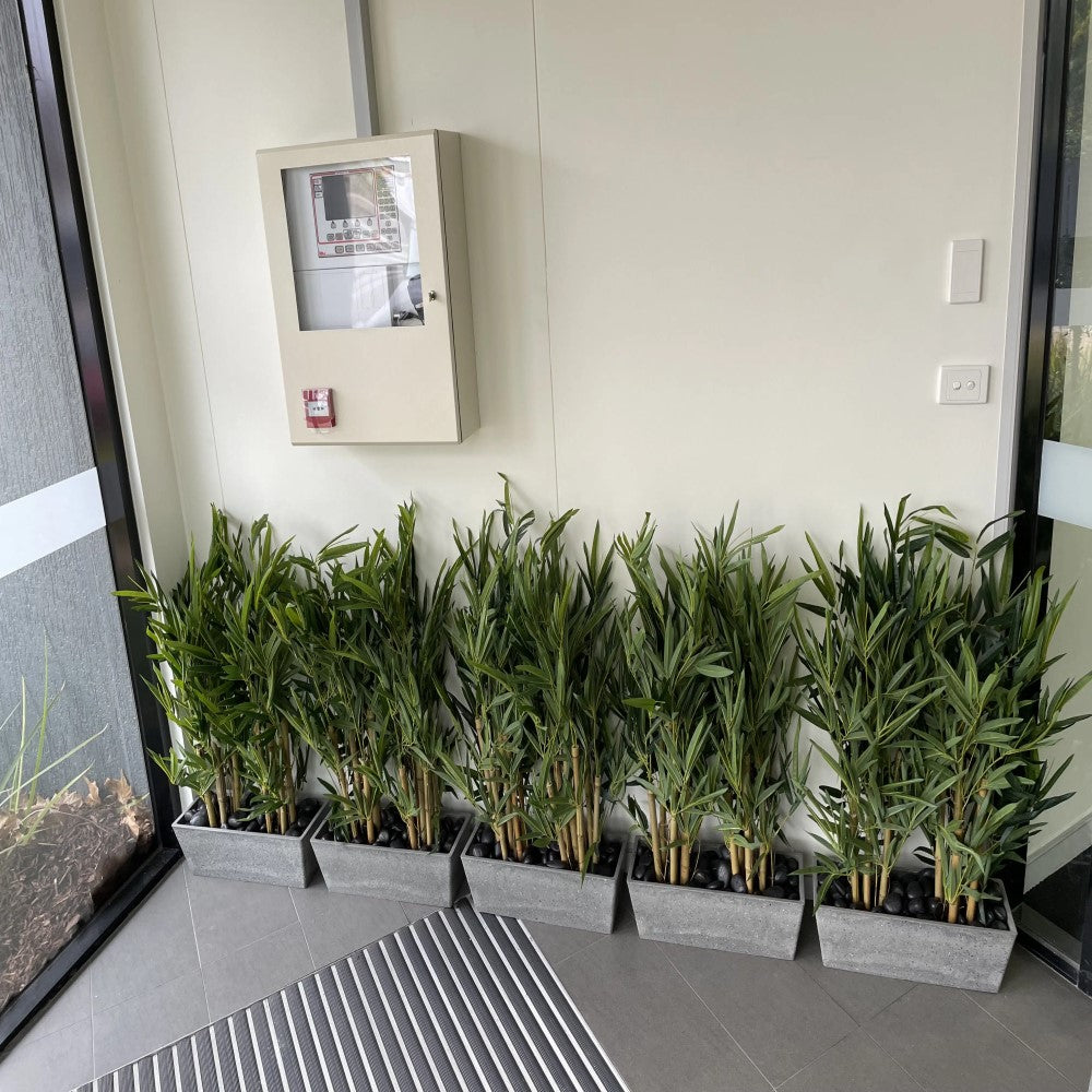 Eternal Japanese Natural Bamboo Trunk 90cms