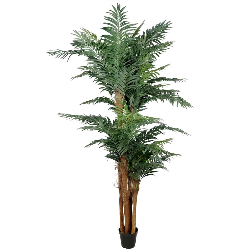 Exclusive Large Tropical Palm Tree 300cms