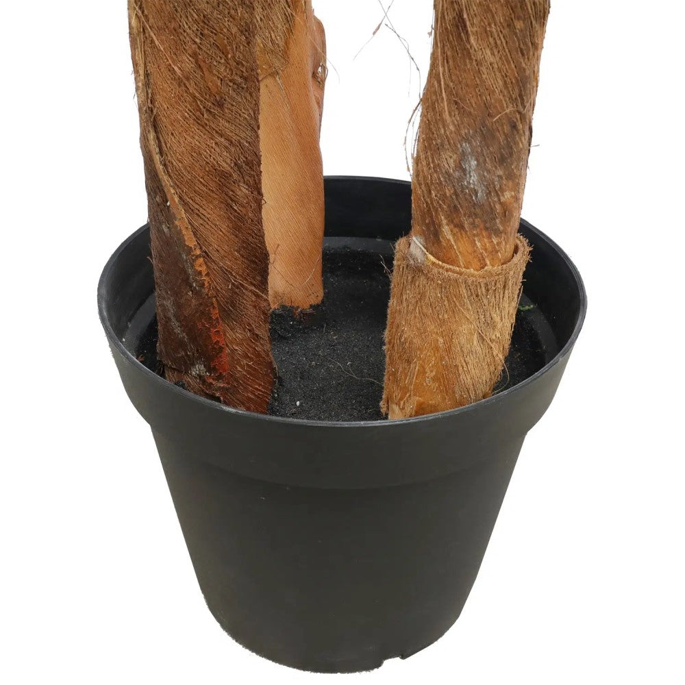 Exclusive Large Tropical Palm Tree 300cms