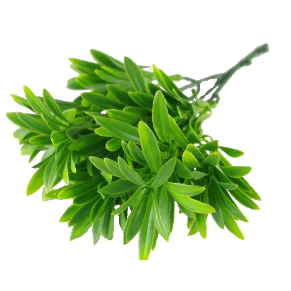 Forever Green Rohdea Stem 27cms