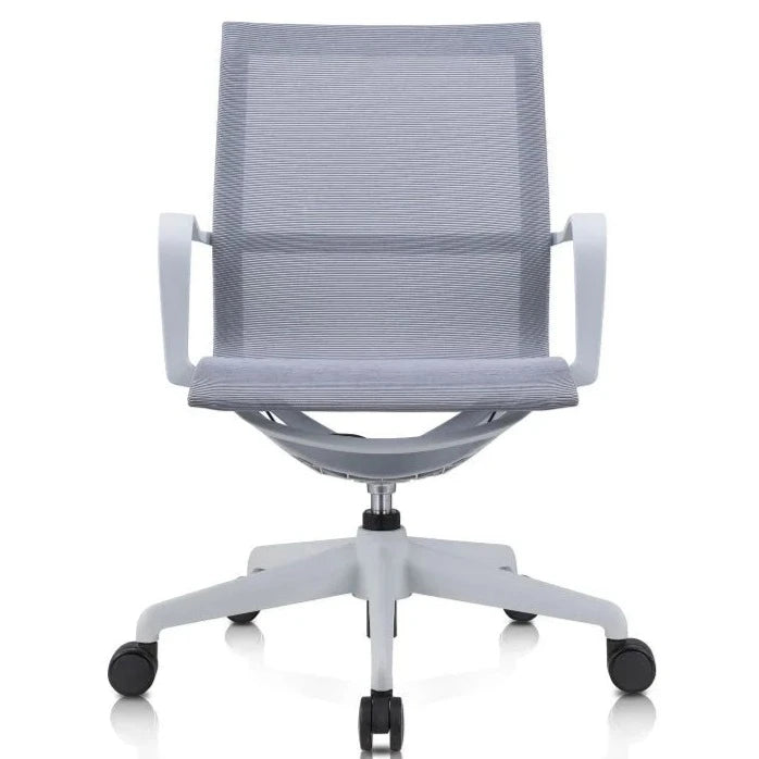 Galaxy Low Back Swivel Office Chair Office Chair - Grey