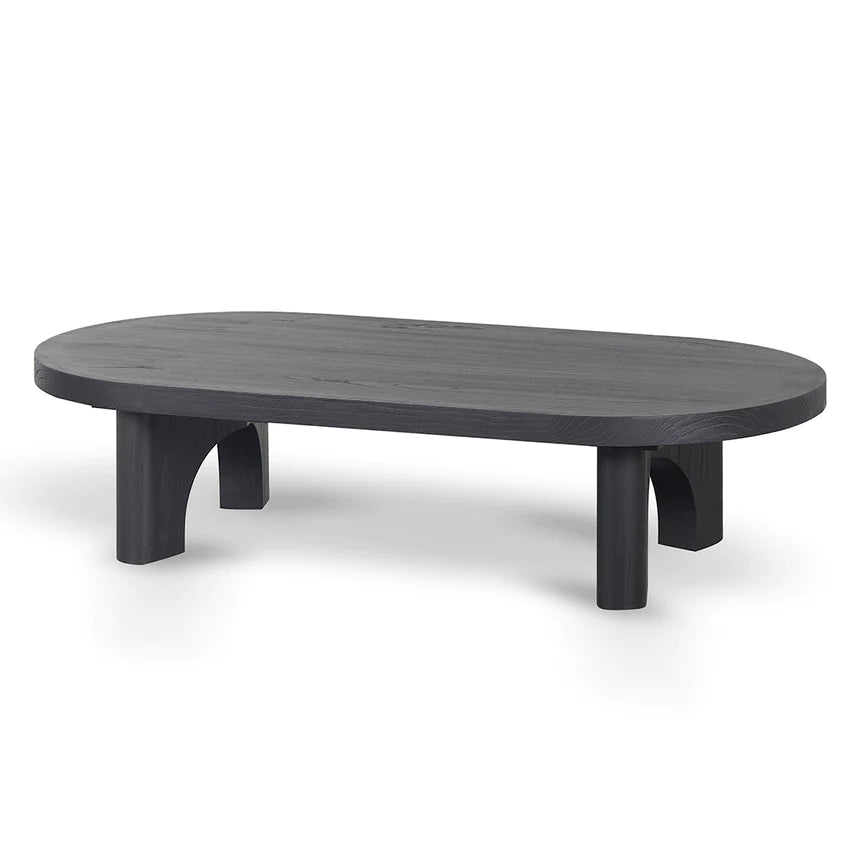 Gallery-Worthy Coffee Table 66cms