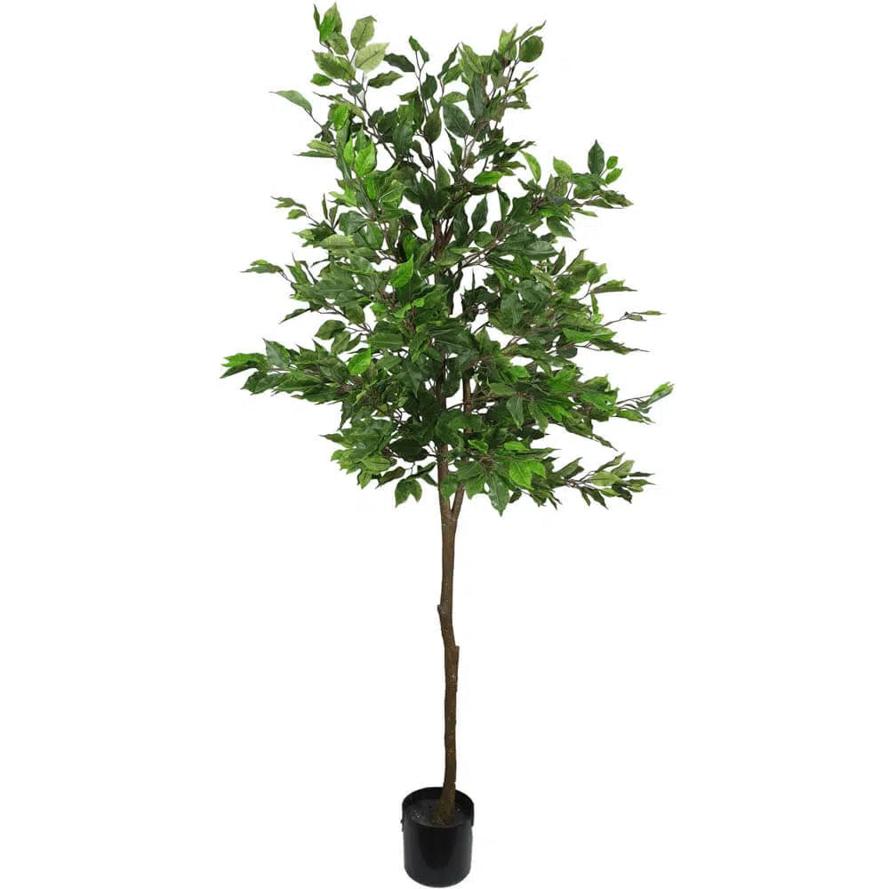 Grade Artificial Potted Ficus Tree 160cms