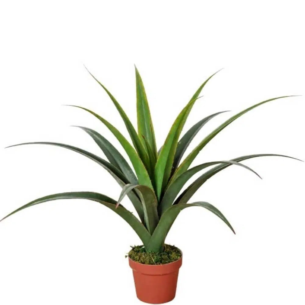 Greenery Artificial Dracaena Potted Plant 80cms