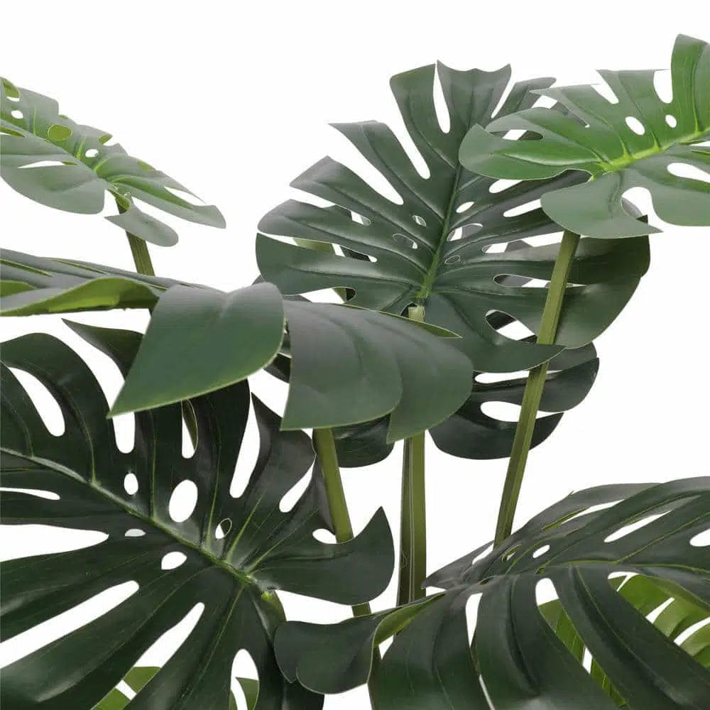 Greenery Split Philodendron Monstera Deliciosa 120cm