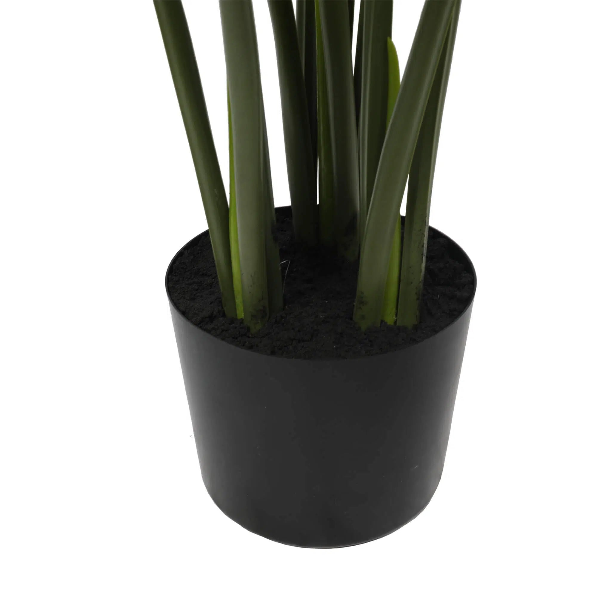 Greenery Split Philodendron Monstera Deliciosa 120cm