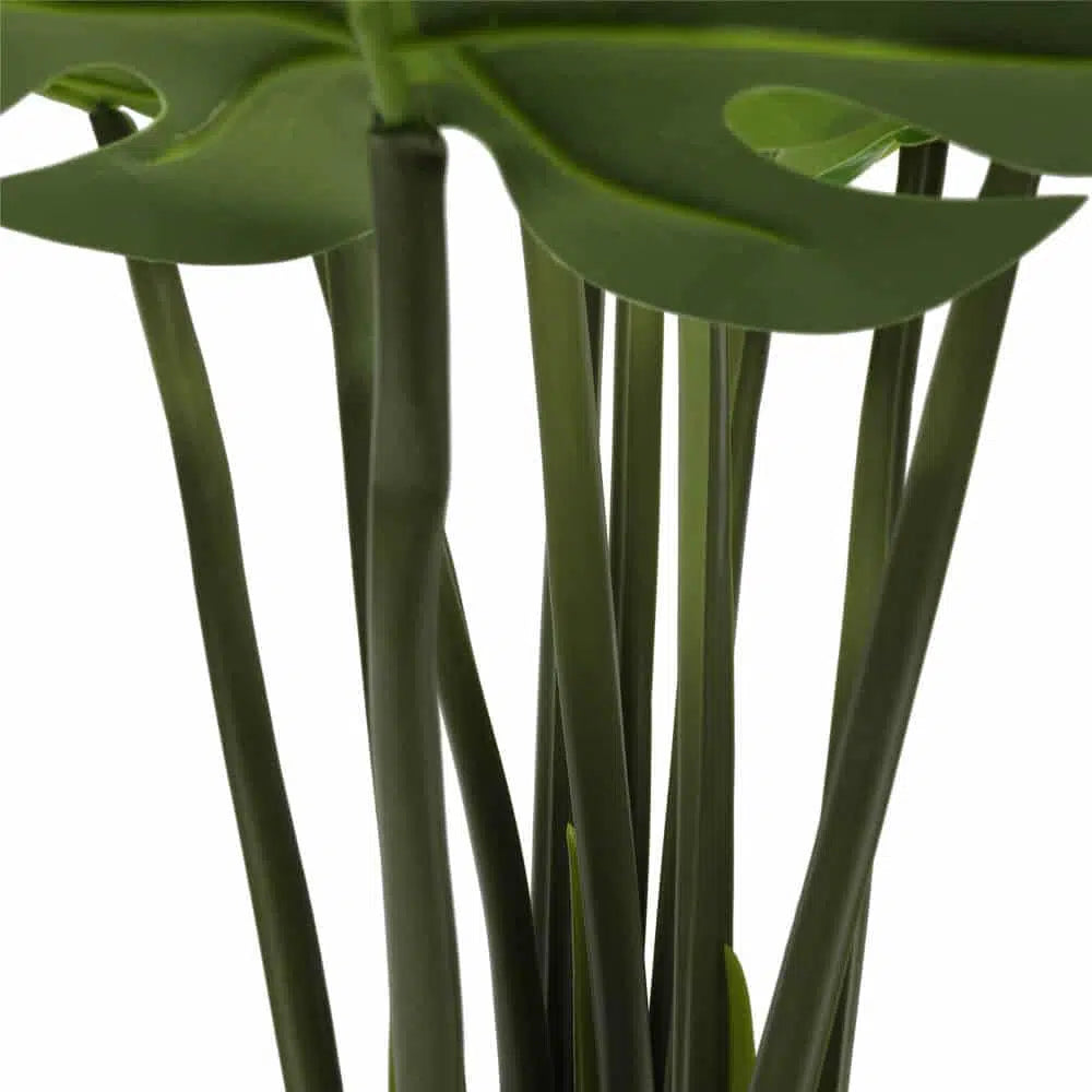Greenery Split Philodendron Monstera Deliciosa 120cm