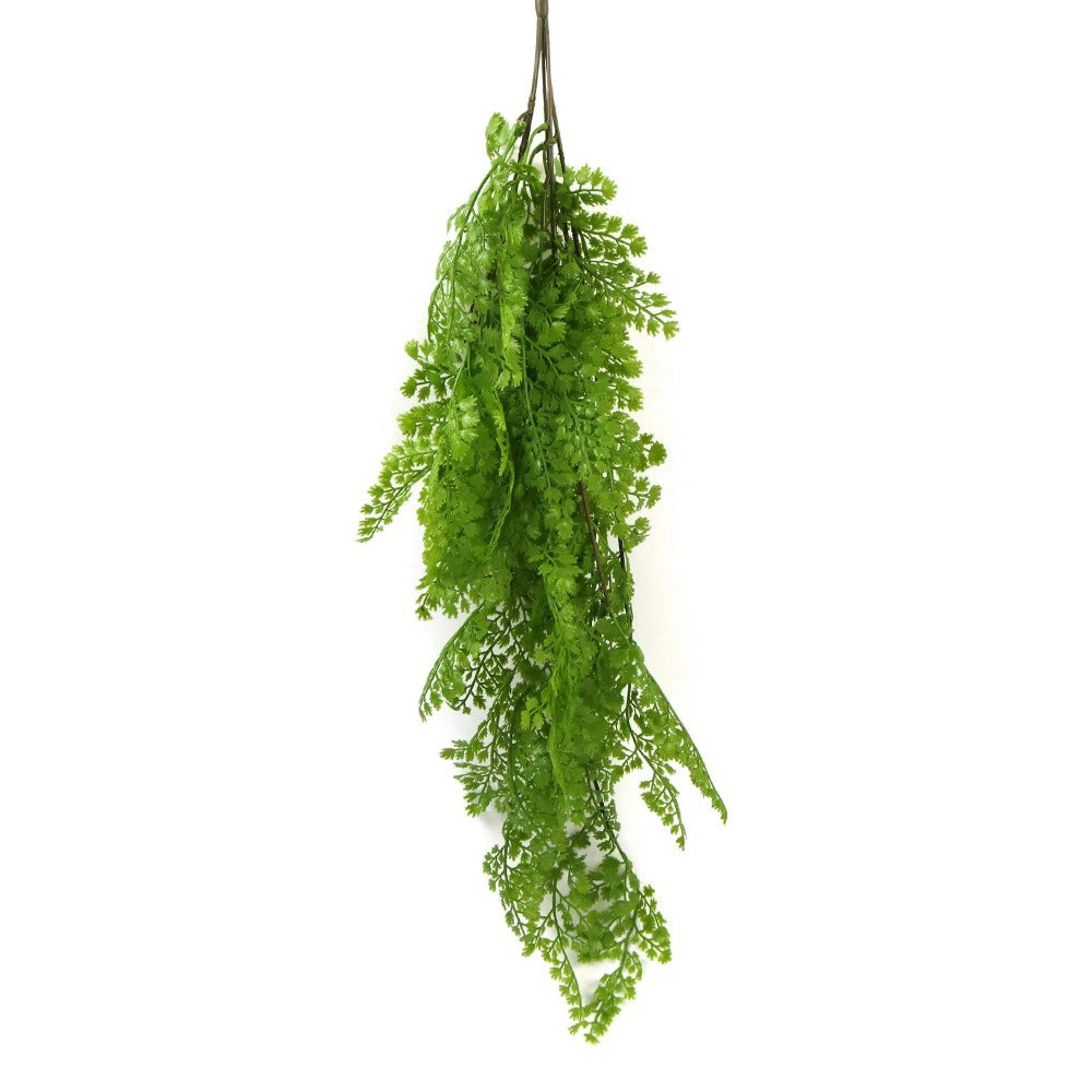 Hanging Native Green Maiden Hair Fern 80cms