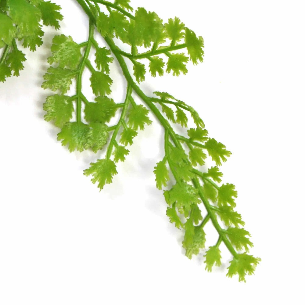 Hanging Native Green Maiden Hair Fern 80cms