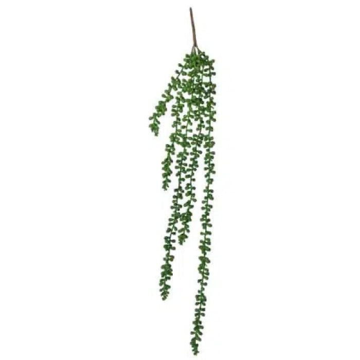 Hanging Succulent String Of Pearl Beads 75cms