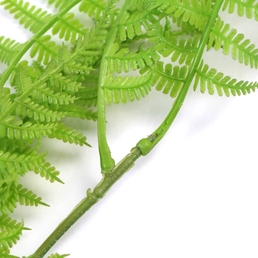 Hanging UV Resistant Fresh Green Boston Fern 80cms