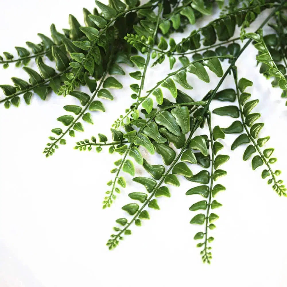 Infinite Botanical Dense Hanging Fern 90cms