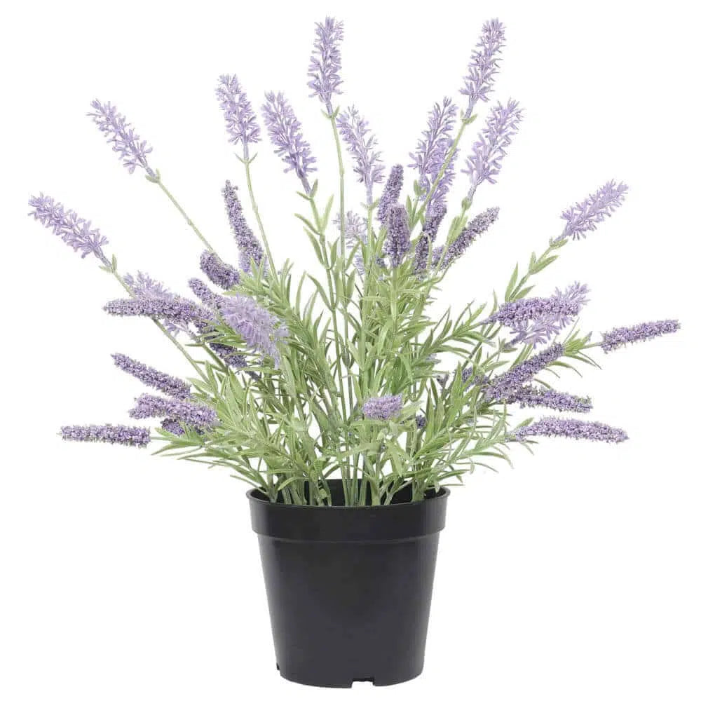 Invigorate Artificial Lavender Plant 40cms