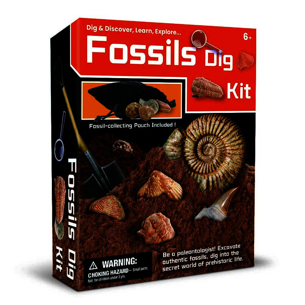 Kids DIY Fossils Discovery Kit