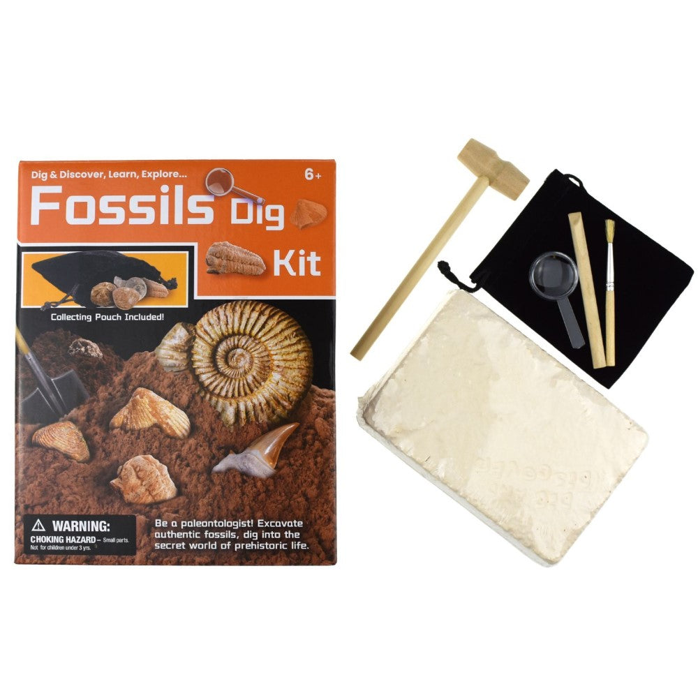 Kids DIY Fossils Discovery Kit