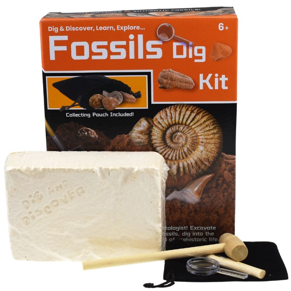 Kids DIY Fossils Discovery Kit