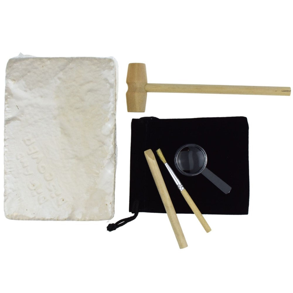 Kids DIY Fossils Discovery Kit