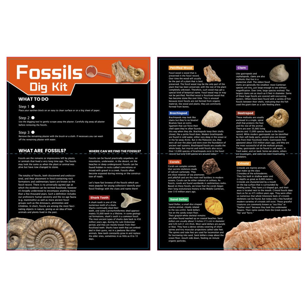 Kids DIY Fossils Discovery Kit