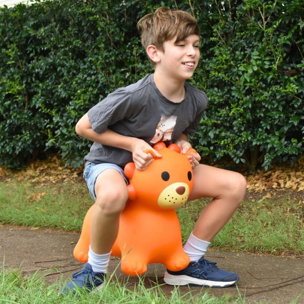 Inflatable Outdoor Bouncy Rider - Lio The Lion