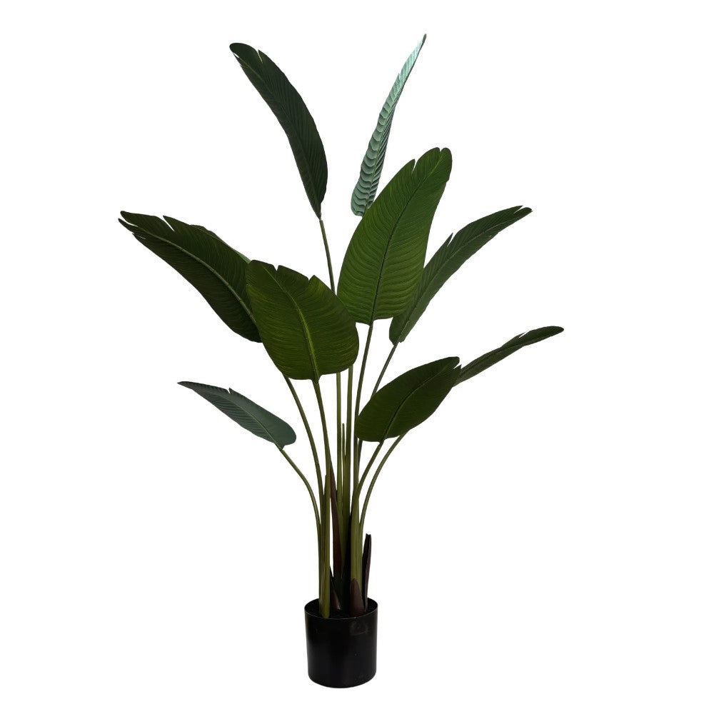 Majestic Artificial Banana Travellers Palm 160cms