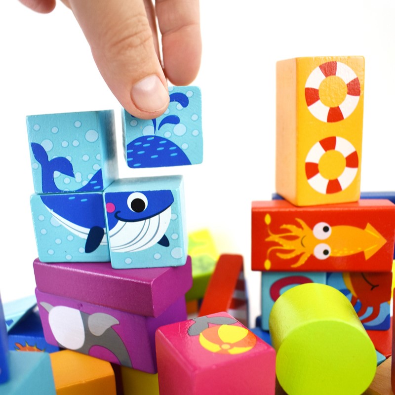 Marine Building Blocks 80Pcs