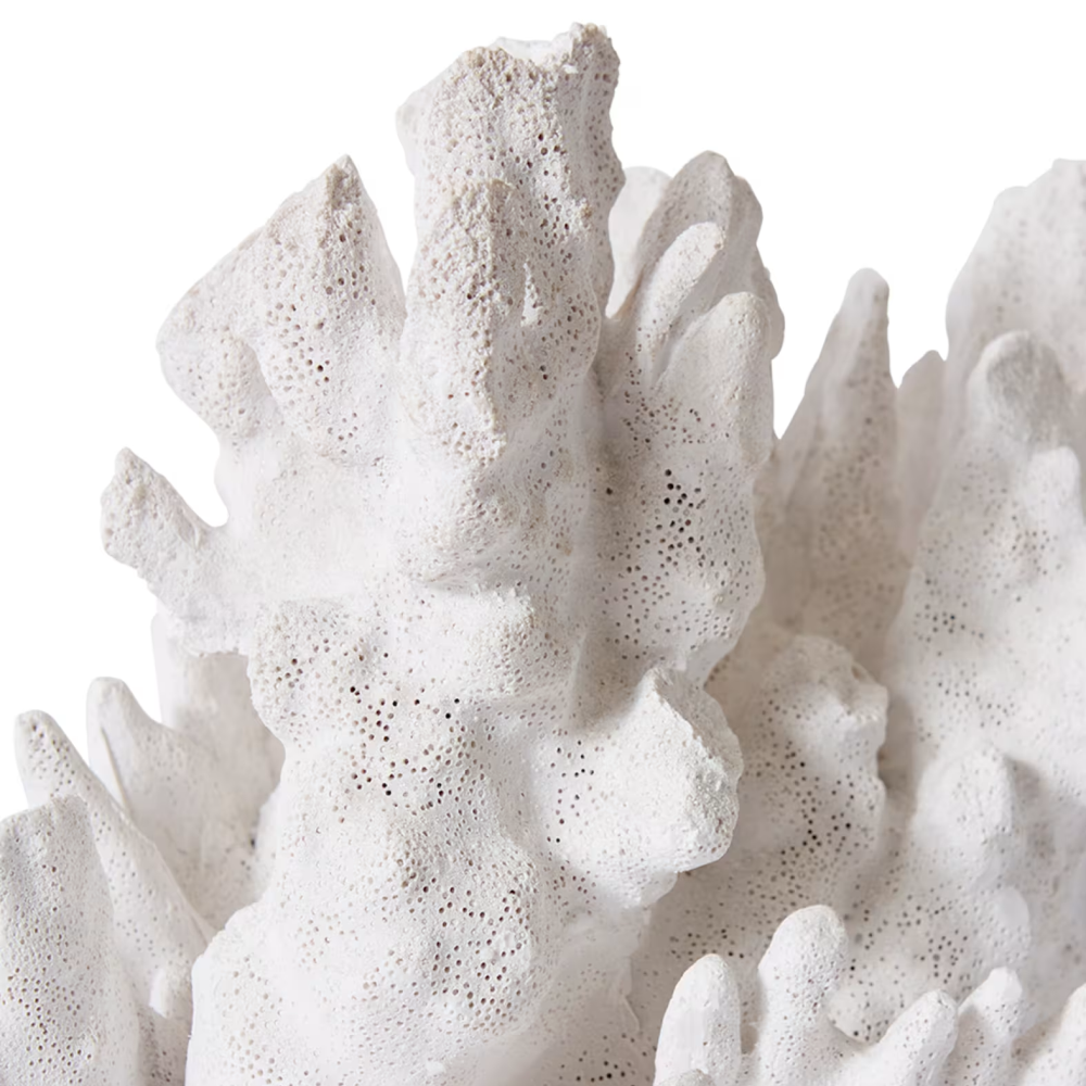 Marine Harmony Coral Wave Decor