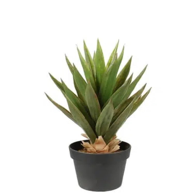Marvel Artificial Dense Aloe Vera Plant 50cms