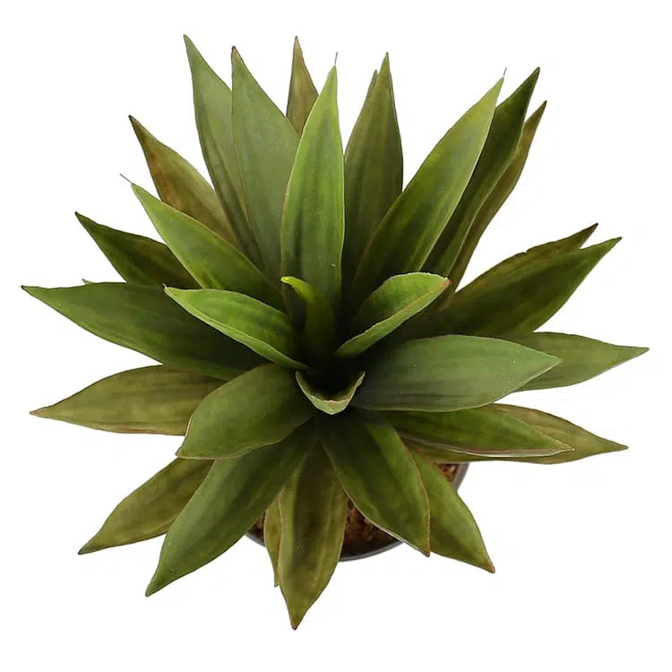 Marvel Artificial Dense Aloe Vera Plant 50cms