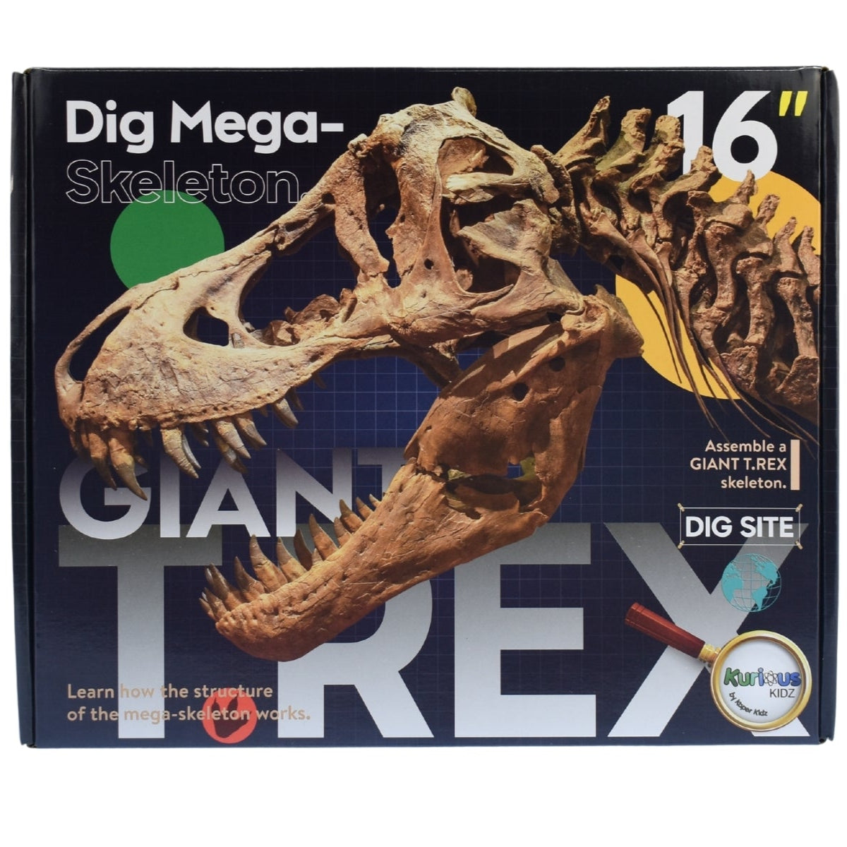 Mega T-Rex Excavation Kit - Dig, Discover, Roar