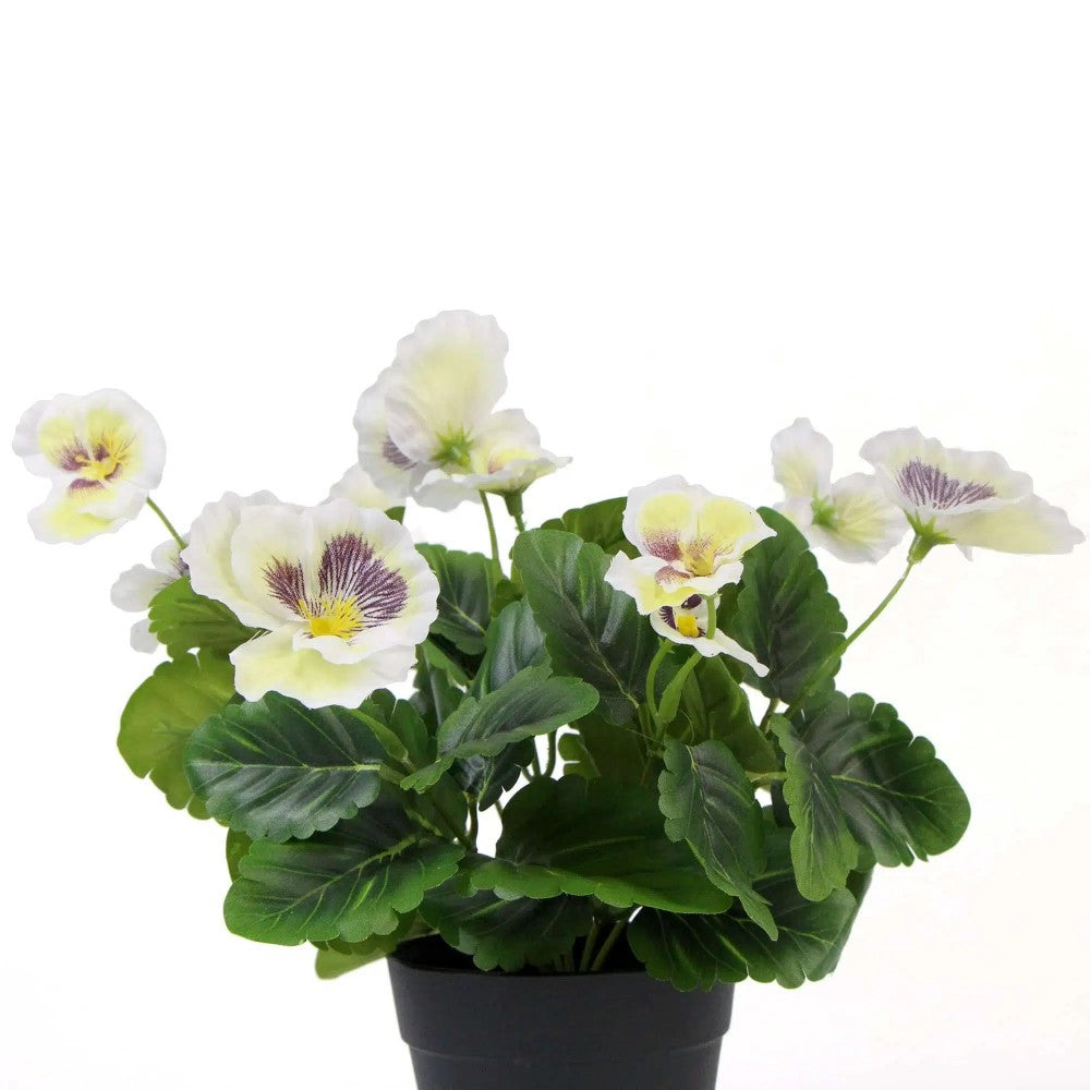 Mixed White Flowering Artificial Pansy Plants 25cms