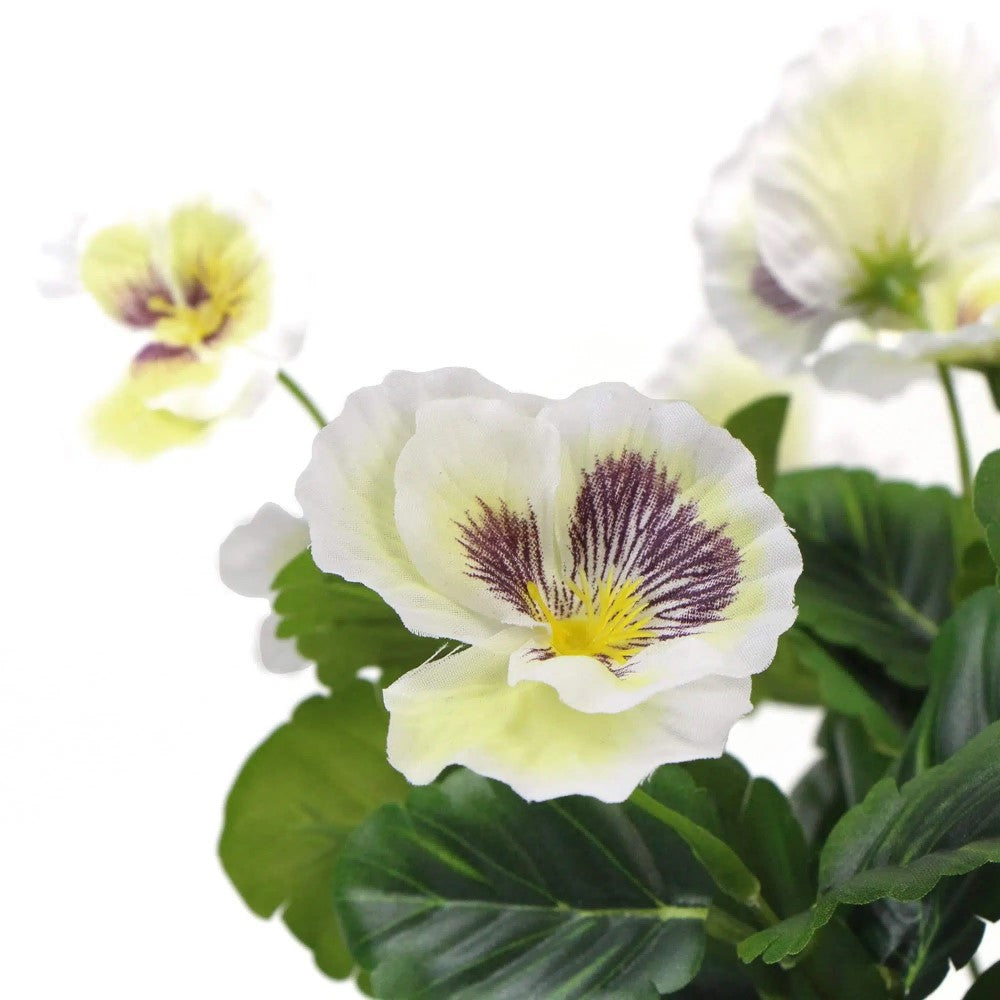 Mixed White Flowering Artificial Pansy Plants 25cms