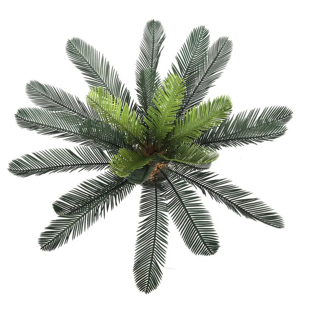 Modern Artificial Cycad Plant 60cms